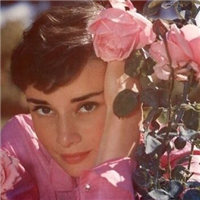 用戶昵稱：濟寧水族批發市場