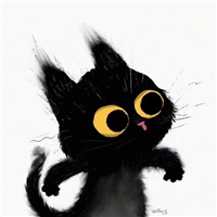 網友昵稱：太原龍魚批發市場