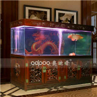 網友昵稱：鞍山龍魚批發市場