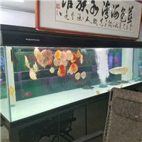 用戶昵稱：天津水族批發市場