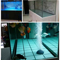 用戶昵稱：中山水族批發市場