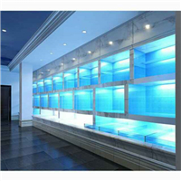 網友昵稱：徐州水族批發市場