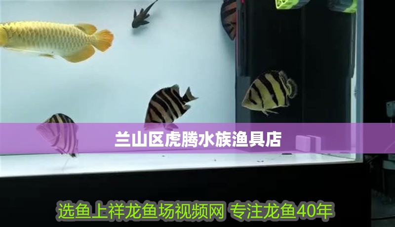 蘭山區虎騰水族漁具店 蘭山區虎騰水族漁具店 全國水族館企業名錄 第2張