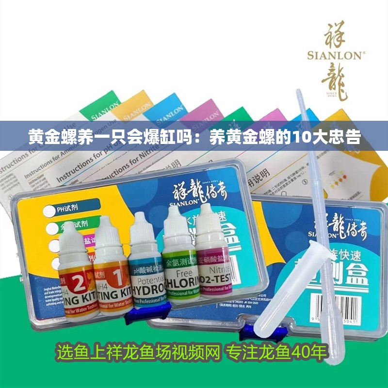 黃金螺養一只會爆缸嗎：養黃金螺的10大忠告