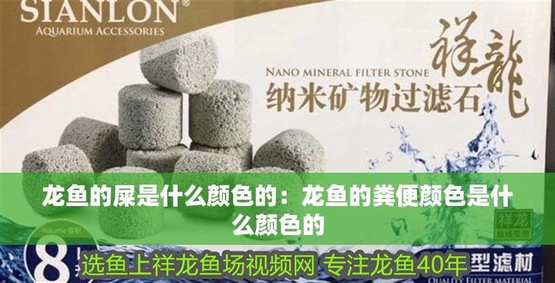 龍魚的屎是什么顏色的:龍魚的糞便顏色是什么顏色的 龍魚百科 第2張 龍魚的屎是什么顏色的:龍魚的糞便顏色是什么顏色的 龍魚的屎是什么顏色的:龍魚的糞便顏色是什么顏色的 龍魚百科 第2張