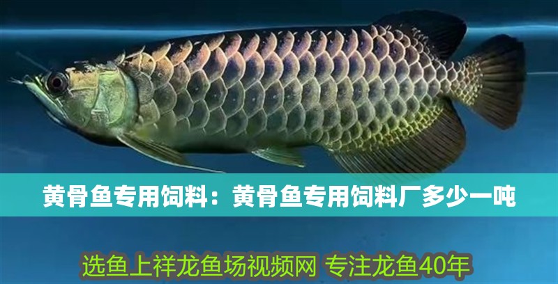 黃骨魚(yú)專用飼料：黃骨魚(yú)專用飼料廠多少一噸
