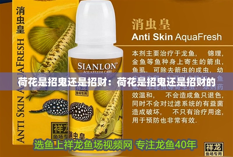 荷花是招鬼還是招財：荷花是招鬼還是招財?shù)? title=