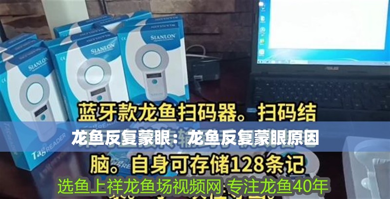 龍魚反復蒙眼:龍魚反復蒙眼原因 水族問答 龍魚反復蒙眼:龍魚反復蒙眼原因 龍魚反復蒙眼:龍魚反復蒙眼原因 水族問答