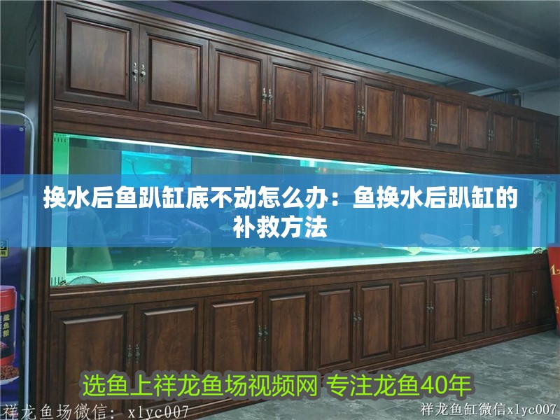 換水后魚趴缸底不動(dòng)怎么辦：魚換水后趴缸的補(bǔ)救方法 換水后魚趴缸底不動(dòng)怎么辦：魚換水后趴缸的補(bǔ)救方法 龍魚百科 第1張