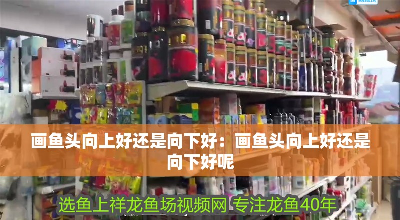 畫魚頭向上好還是向下好：畫魚頭向上好還是向下好呢