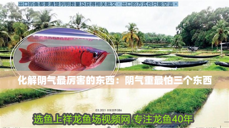 化解陰氣最厲害的東西：陰氣重最怕三個(gè)東西