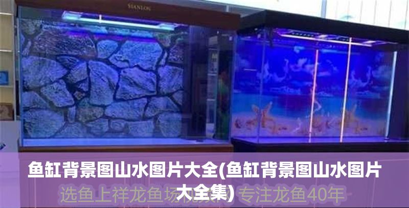 魚缸背景圖山水圖片大全(魚缸背景圖山水圖片大全集)