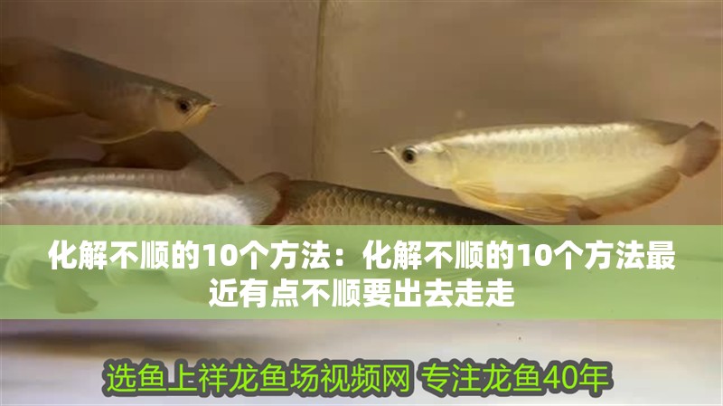 化解不順的10個(gè)方法：化解不順的10個(gè)方法最近有點(diǎn)不順要出去走走