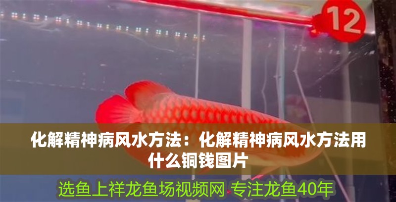 化解精神病風水方法:化解精神病風水方法用什么銅錢圖片 龍魚百科 第2張 化解精神病風水方法:化解精神病風水方法用什么銅錢圖片 化解精神病風水方法:化解精神病風水方法用什么銅錢圖片 龍魚百科 第2張