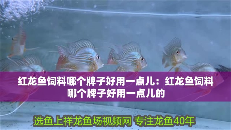 紅龍魚飼料哪個牌子好用一點兒：紅龍魚飼料哪個牌子好用一點兒的