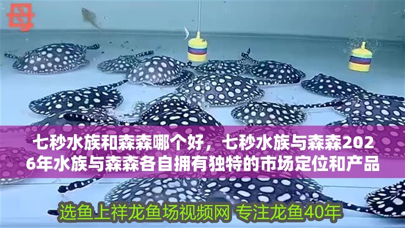 七秒水族和森森哪個好，七秒水族與森森2026年水族與森森各自擁有獨特的市場定位和產品優勢