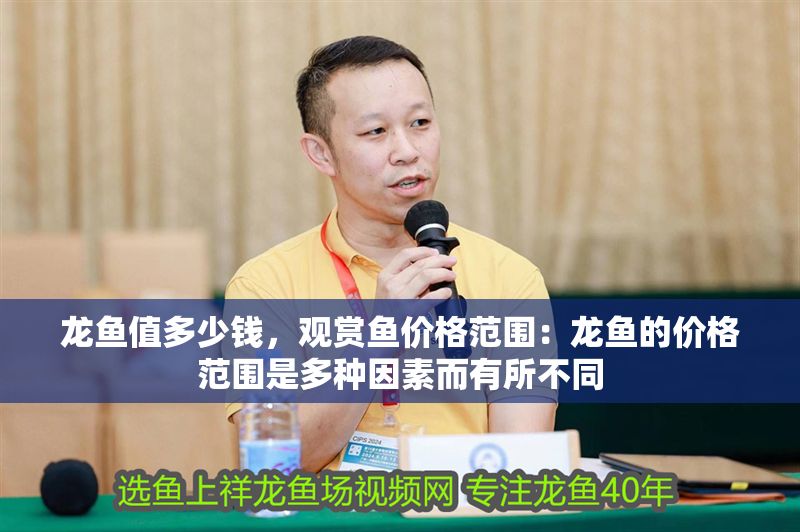 龍魚值多少錢，觀賞魚價格范圍：龍魚的價格范圍是多種因素而有所不同