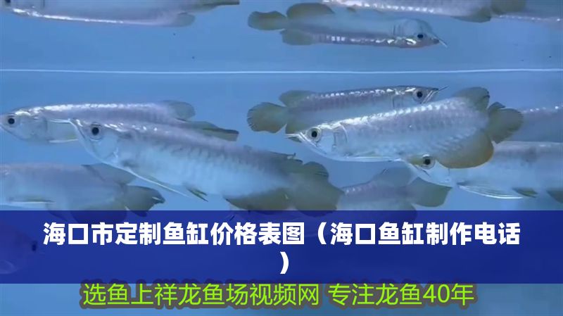 海口市定制魚缸價格表圖（海口魚缸制作電話）