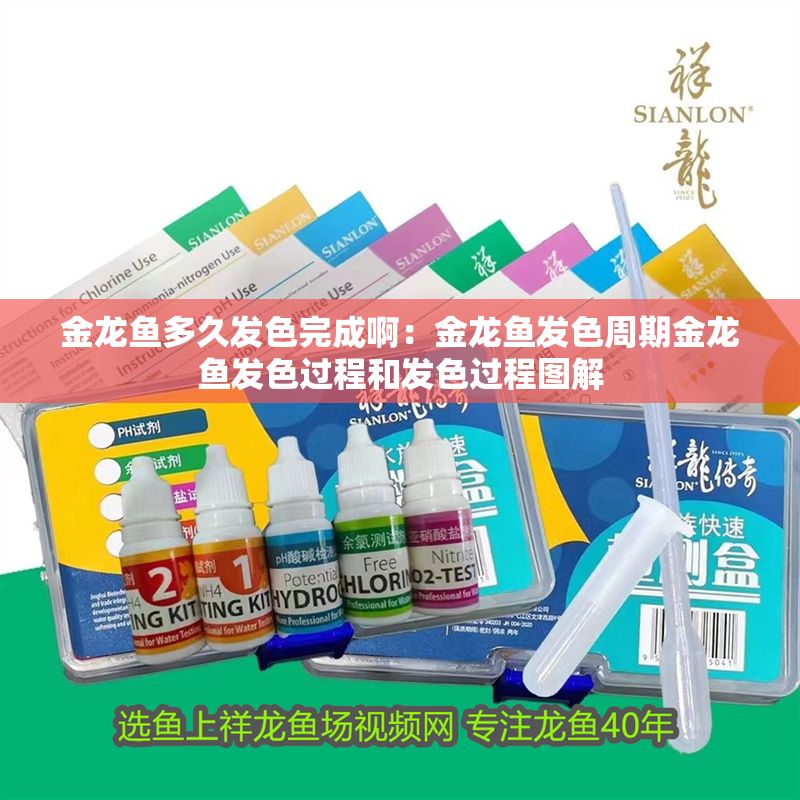 金龍魚多久發色完成?。航瘕堲~發色周期金龍魚發色過程和發色過程圖解