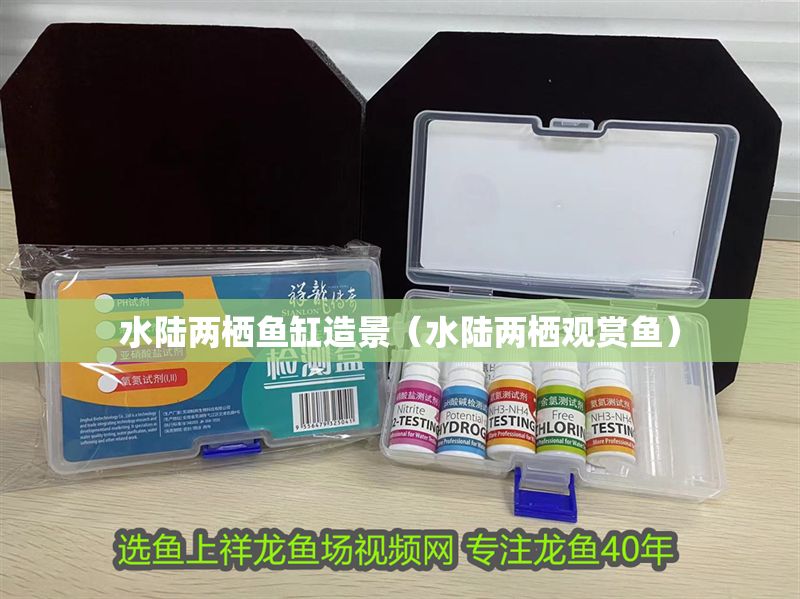 水陸兩棲魚缸造景（水陸兩棲觀賞魚） 水陸兩棲魚缸造景（水陸兩棲觀賞魚） 龍魚百科 第1張