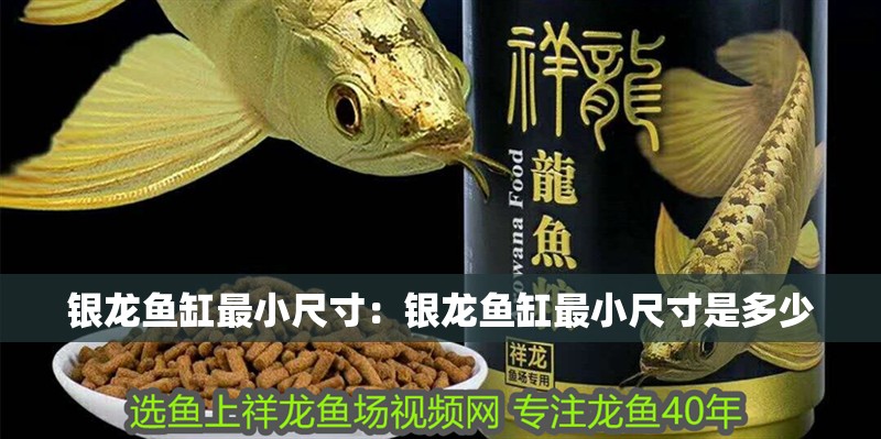 銀龍魚缸最小尺寸：銀龍魚缸最小尺寸是多少