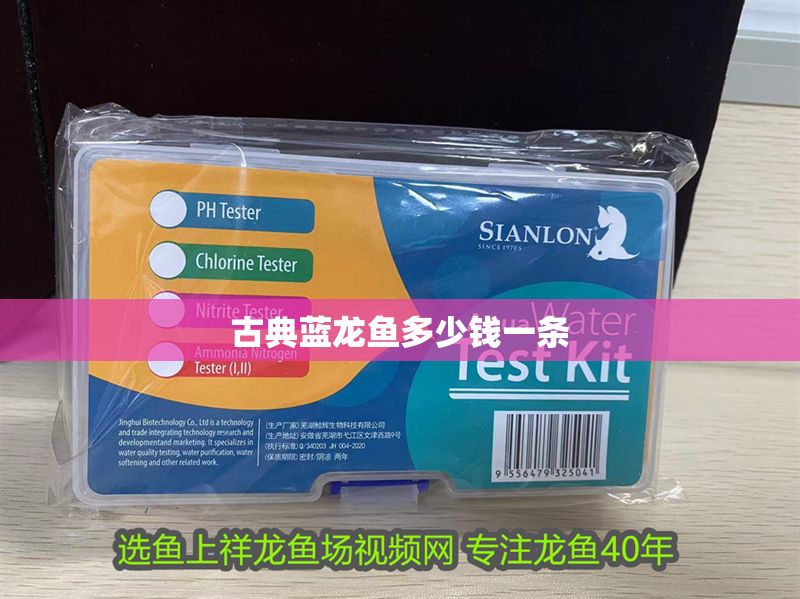 古典藍龍魚多少錢一條