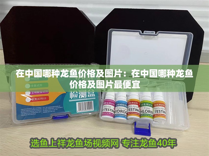 在中國哪種龍魚價格及圖片：在中國哪種龍魚價格及圖片最便宜 在中國哪種龍魚價格及圖片：在中國哪種龍魚價格及圖片最便宜 水族問答