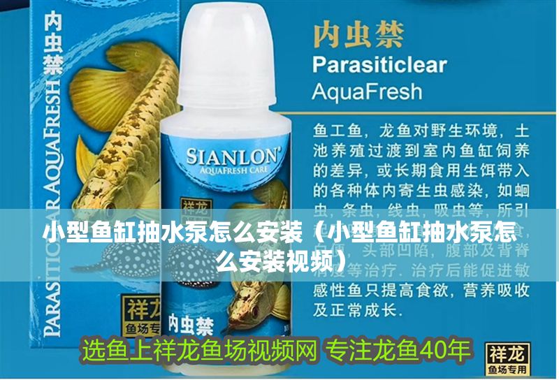 小型魚缸抽水泵怎么安裝（小型魚缸抽水泵怎么安裝視頻） 小型魚缸抽水泵怎么安裝（小型魚缸抽水泵怎么安裝視頻） 龍魚百科 第1張