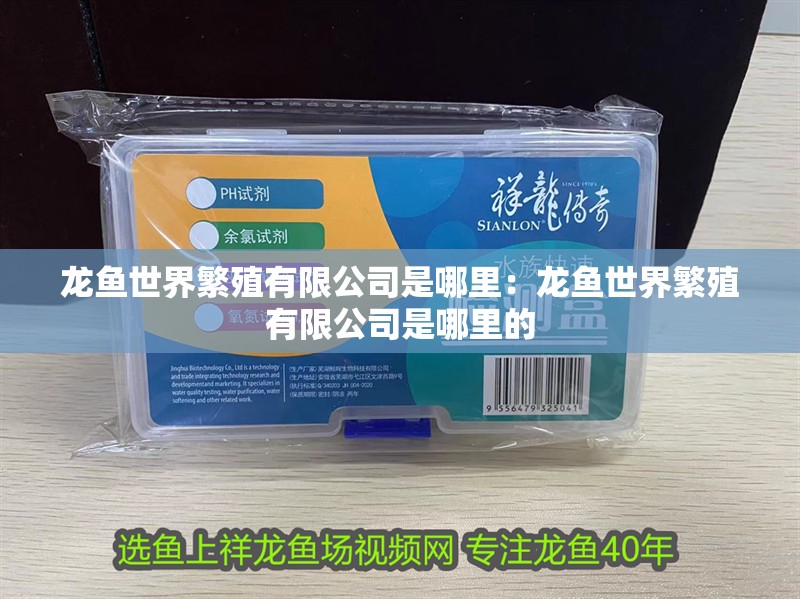 龍魚世界繁殖有限公司是哪里：龍魚世界繁殖有限公司是哪里的