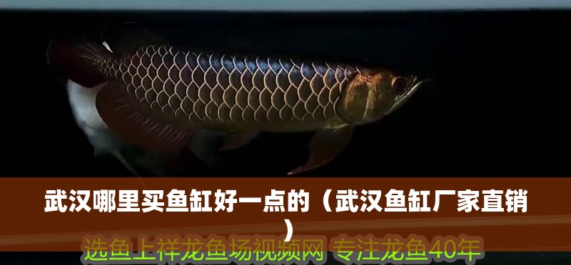 武漢哪里買魚缸好一點(diǎn)的（武漢魚缸廠家直銷）
