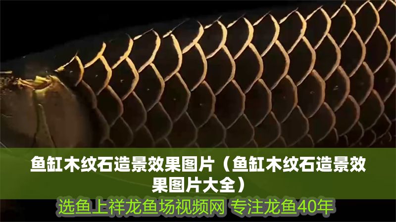 魚缸木紋石造景效果圖片（魚缸木紋石造景效果圖片大全）
