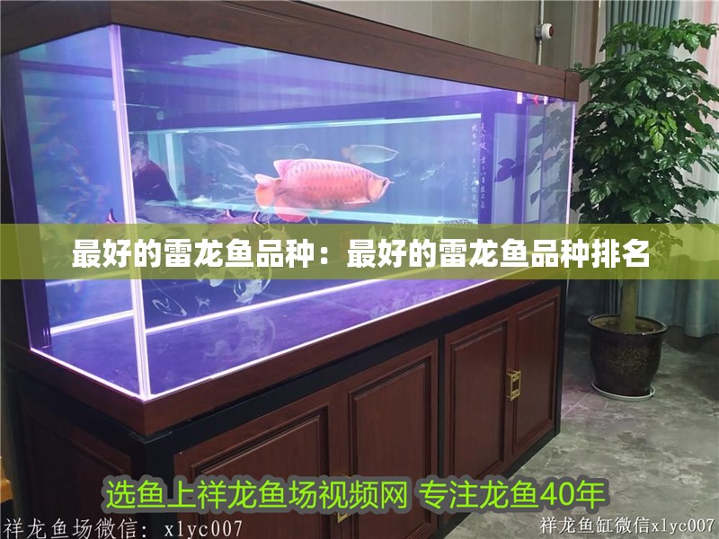 最好的雷龍魚品種：最好的雷龍魚品種排名 最好的雷龍魚品種：最好的雷龍魚品種排名 水族問答
