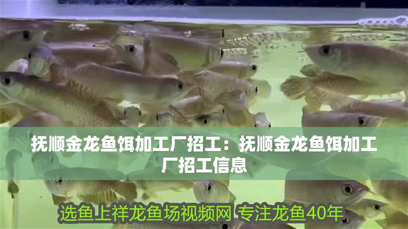 撫順金龍魚餌加工廠招工：撫順金龍魚餌加工廠招工信息
