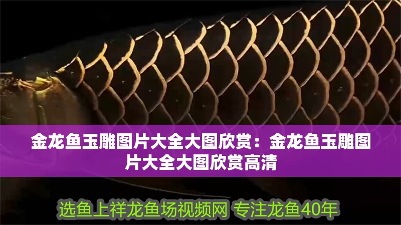 金龍魚玉雕圖片大全大圖欣賞：金龍魚玉雕圖片大全大圖欣賞高清