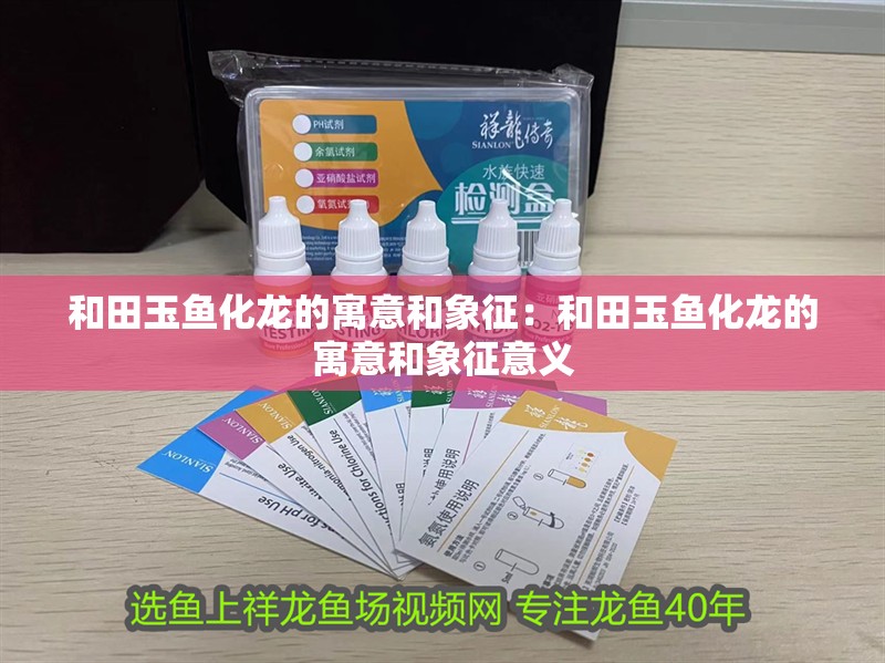 和田玉魚化龍的寓意和象征：和田玉魚化龍的寓意和象征意義 和田玉魚化龍的寓意和象征：和田玉魚化龍的寓意和象征意義 龍魚百科 第2張