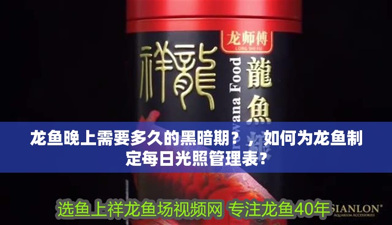 龍魚晚上需要多久的黑暗期？，如何為龍魚制定每日光照管理表？