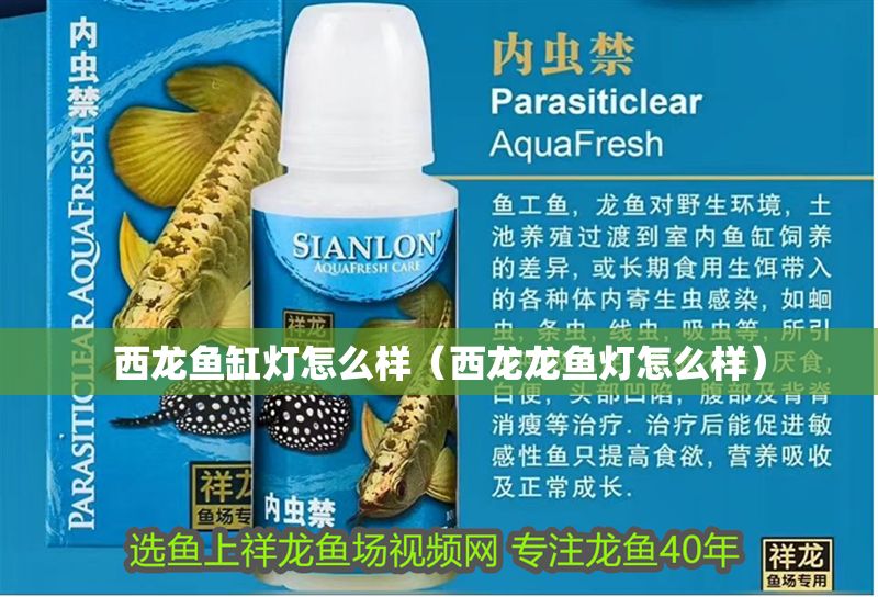 西龍魚缸燈怎么樣（西龍龍魚燈怎么樣）