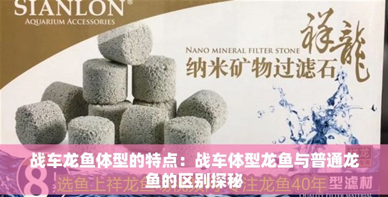 戰車龍魚體型的特點：戰車體型龍魚與普通龍魚的區別探秘