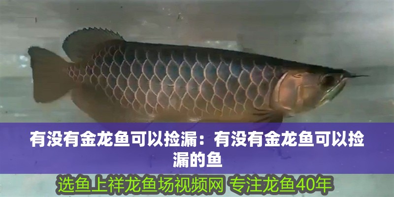 有沒有金龍魚可以撿漏：有沒有金龍魚可以撿漏的魚