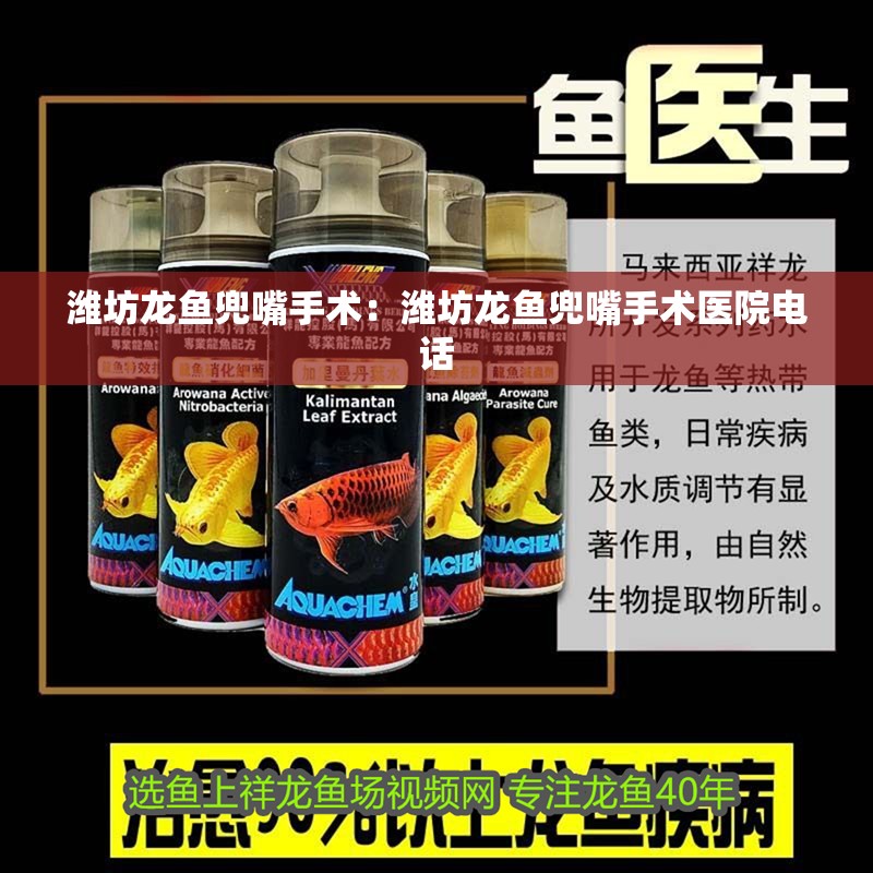 濰坊龍魚兜嘴手術：濰坊龍魚兜嘴手術醫(yī)院電話 濰坊龍魚兜嘴手術：濰坊龍魚兜嘴手術醫(yī)院電話 水族問答