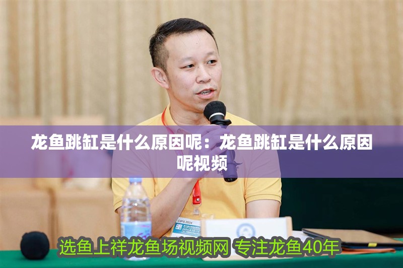 龍魚(yú)跳缸是什么原因呢：龍魚(yú)跳缸是什么原因呢視頻