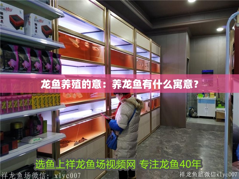 龍魚養殖的意：養龍魚有什么寓意？