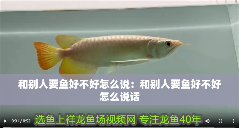 和別人要魚好不好怎么說：和別人要魚好不好怎么說話 和別人要魚好不好怎么說：和別人要魚好不好怎么說話 龍魚百科 第2張