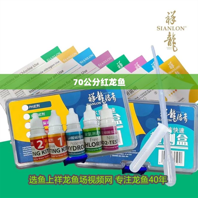 70公分紅龍魚 龍魚百科 第1張 70公分紅龍魚 70公分紅龍魚 龍魚百科 第1張