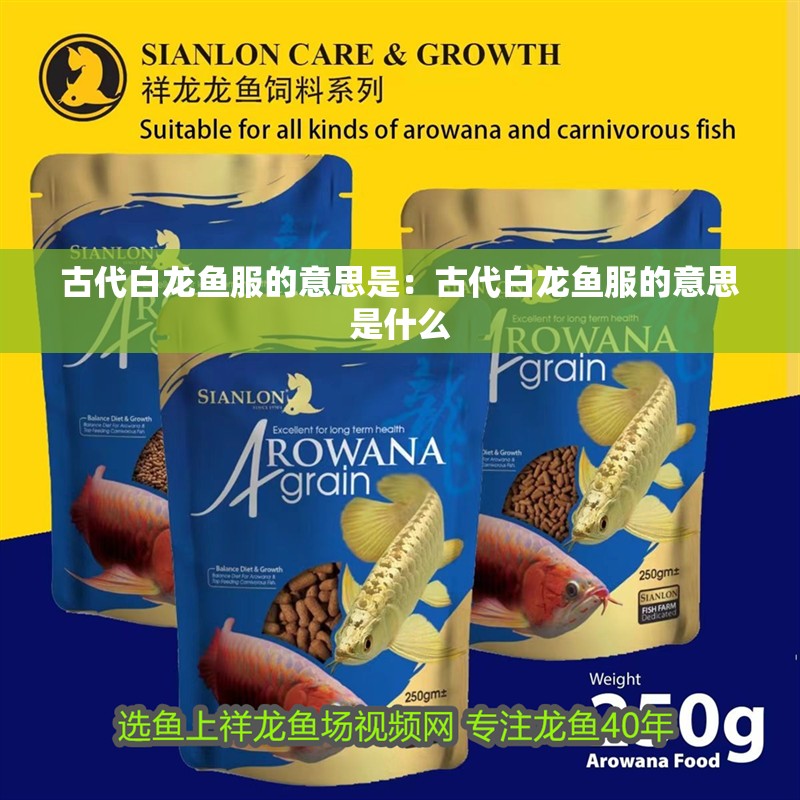 古代白龍魚服的意思是:古代白龍魚服的意思是什么 水族問答 古代白龍魚服的意思是:古代白龍魚服的意思是什么 古代白龍魚服的意思是:古代白龍魚服的意思是什么 水族問答