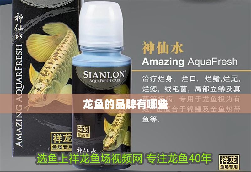 龍魚的品牌有哪些 龍魚的品牌有哪些 龍魚百科 第2張