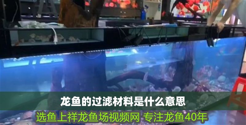 龍魚的過濾材料是什么意思