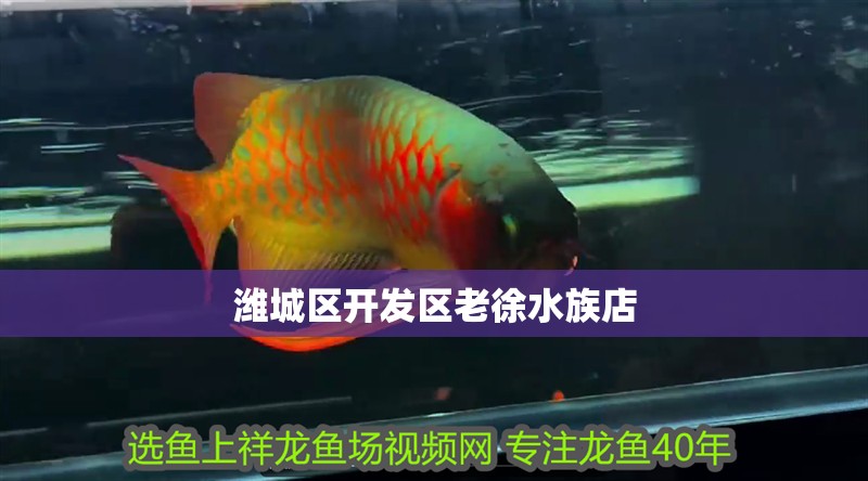 濰城區(qū)開發(fā)區(qū)老徐水族店