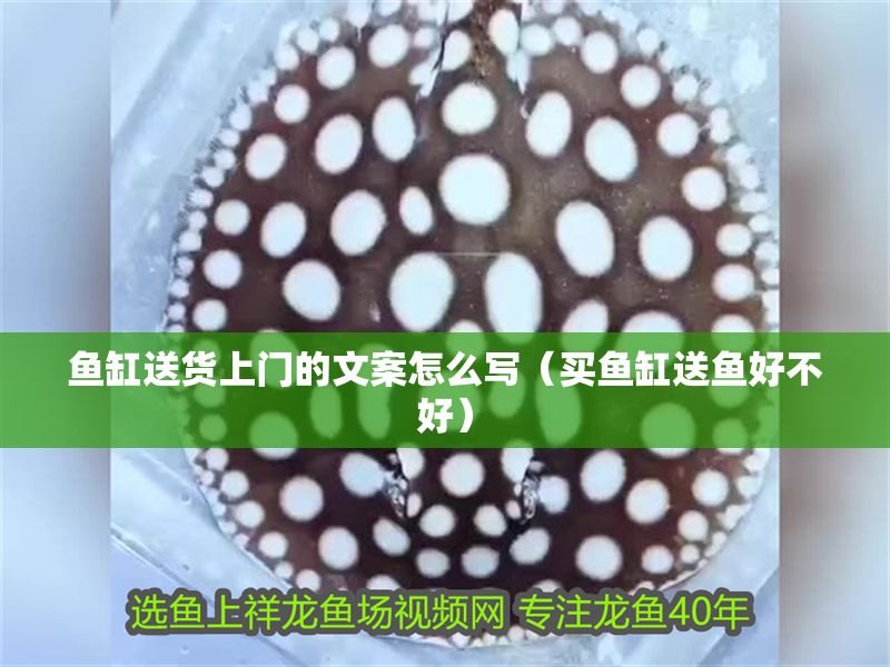魚缸送貨上門的文案怎么寫（買魚缸送魚好不好）