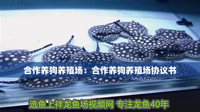 合作養狗養殖場：合作養狗養殖場協議書